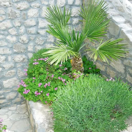 Elide Rabac