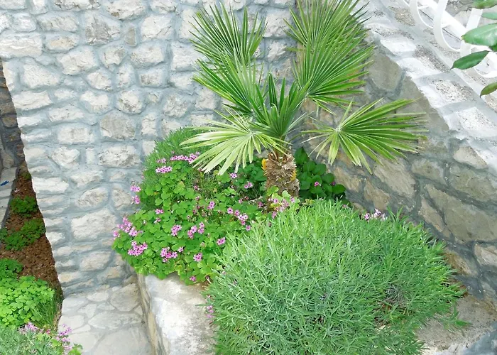 Elide Rabac