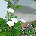Elide Rabac