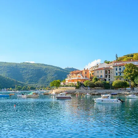 Elide * Rabac
